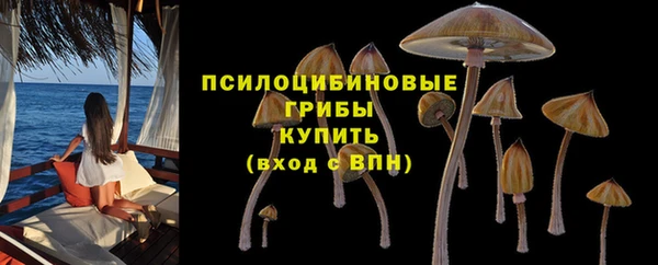 PSILOCYBIN Надым