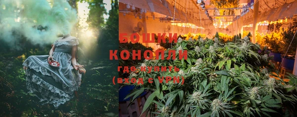 PSILOCYBIN Надым