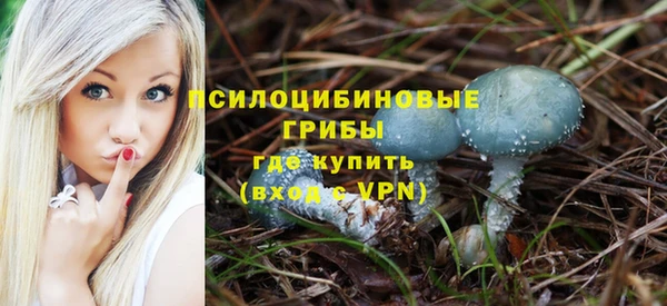 таблы Долгопрудный