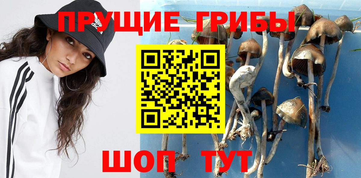 Химки  Псилоцибиновые грибы Magic Shrooms  Вход с VPN  Галлюциногенные грибы ЛСД 