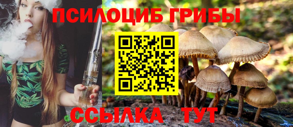 Галлюциногенные грибы прущие грибы Химки